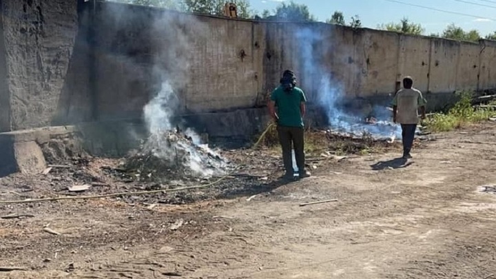 В Подмосковье наказаны поджигатели мусора