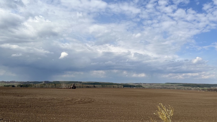 Нижегородские аграрии собрали рекордный урожай зерна, но терпят убытки