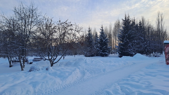 В Новосибирск 23 января придёт потепление до -9 градусов