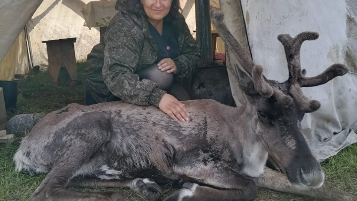 Забайкальские ветеринары вакцинировали 300 северных оленей