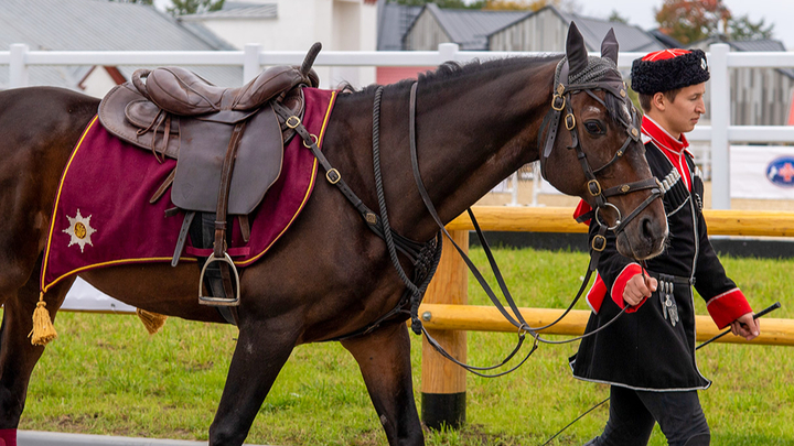 Лошади, хоббихорсинг и подковы на счастье: В Москве стартует уникальный фестиваль