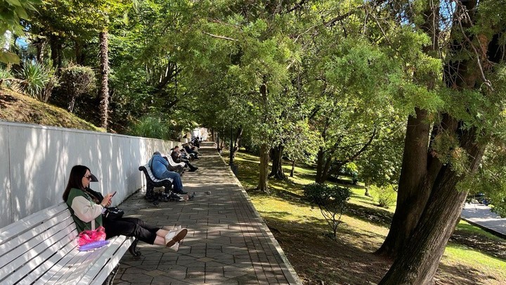 На Юге России самые интернет-активные люди живут в Краснодарском крае