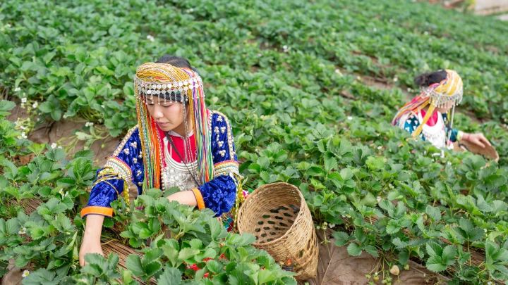 Дачники получат штраф за привлечение мигрантов на своих участках
