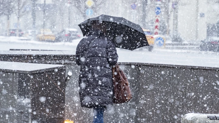 В Московской области из-за снегопадов произошел обрыв ЛЭП и отключения света