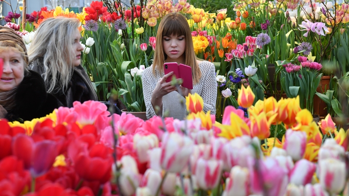 В Краснодаре мужчины потратят на цветы и подарки к 8 Марта 6,8 тысяч рублей