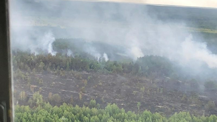 Прекратите врать: Зона отчуждения Чернобыля в огне уже неделю - пожар подбирается к АЭС