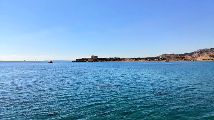 В Тихом океане нашли новые виды рыб