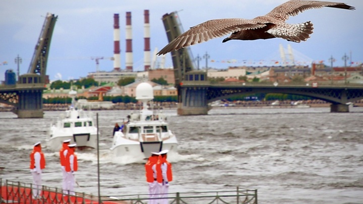 Что такое главный военно-морской парад в Санкт-Петербурге: откуда смотреть и кто там будет