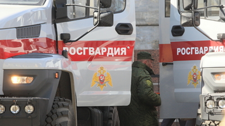 Обезврежена банда школьников, рассылавших сообщения о минировании зданий