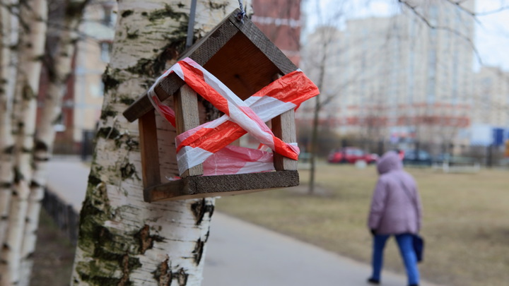 В Смольном велели пересчитать всех дятлов