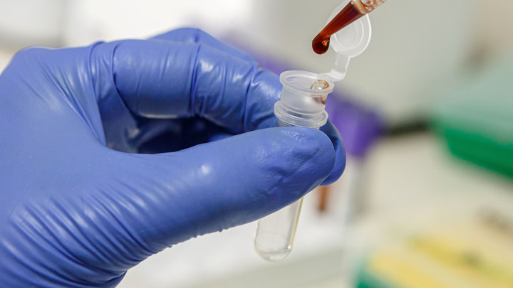 Нарколог проверил Галявиева: Источник обнародовал результаты анализов