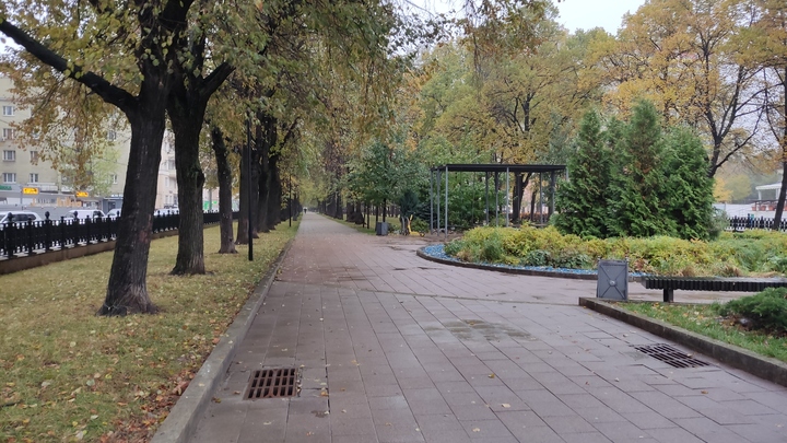 В Новосибирск приходят ночные холода до -5 градусов и ниже
