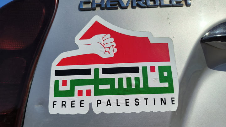 Государственность Палестины признали сразу три европейских государства: Ирландия, Норвегия и Испания