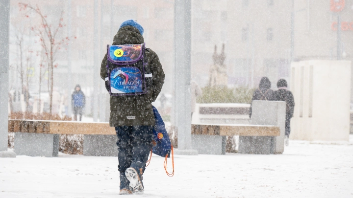 В Приморье у матери забрали пятерых детей из-за маленькой жилплощади. В Госдуме подсказали выход чиновникам