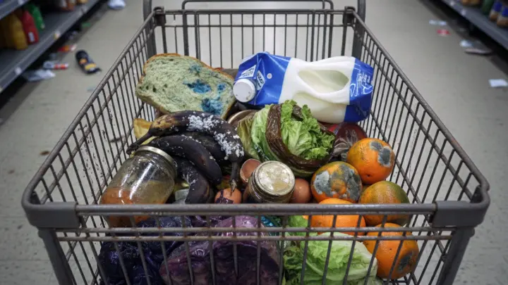 Продуктовая безопасность России под угрозой. О рисках для жизни заявил эксперт: Никакого контроля нет