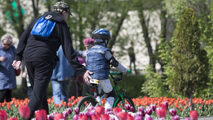 Обмудсмен рассказала о главной опасности для современных детей: Моя боль
