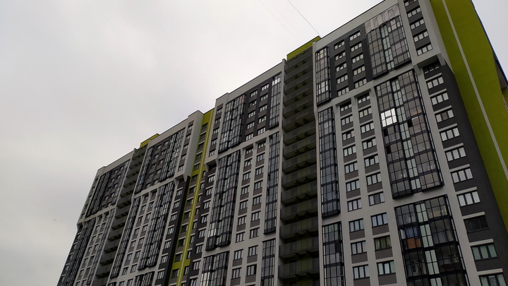 Житель Подольска швырнул чужую собаку с девятого этажа