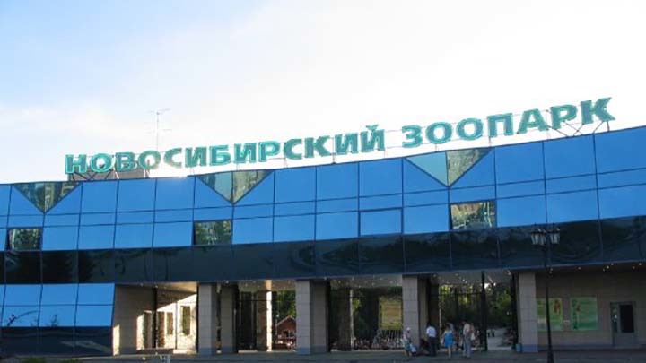 Животные соскучились: Новосибирский зоопарк готов возобновить работу