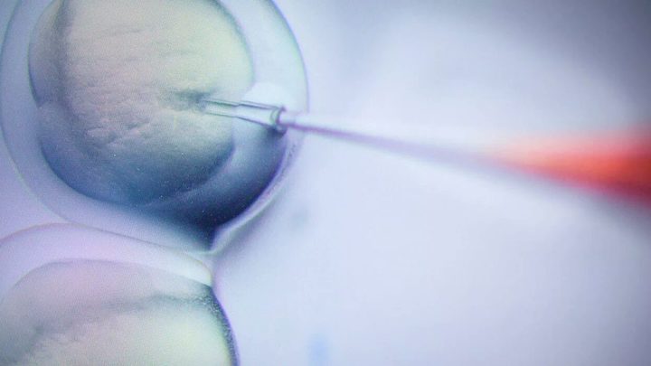 Шанс на выздоровление: В центре им. Рогачева начали применять клеточную терапию для лечения онкозаболеваний