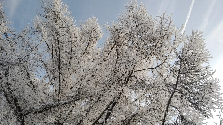 Морозы до -18 градусов в Подмосковье сменятся резким потеплением