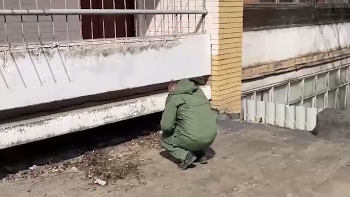 После трагедии в Балашихе депутаты ГД начали обсуждать закон о психологической помощи