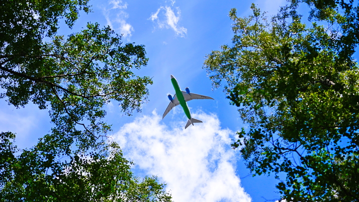 Аэропракт Летучая лисица упал под Красноярском. Случившееся чудо проверит прокуратура