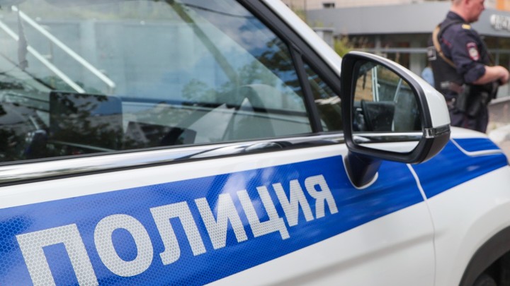 Пьяная жительница Балашихи угрожала детям мачете