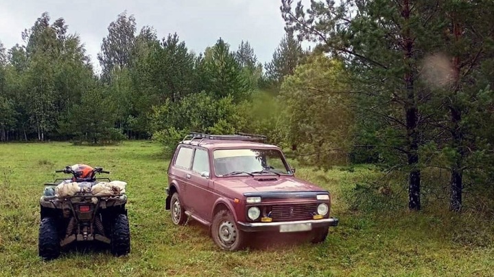В Челябинской области завершены поиски грибника, пропавшего в лесу