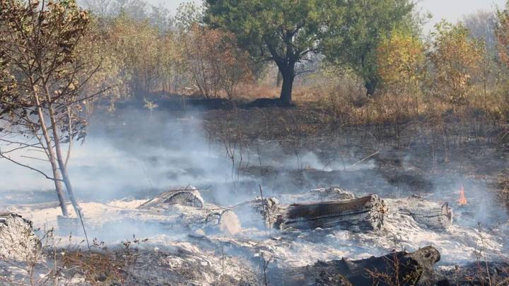 photo_2023-09-28 13.46.44 (1).jpeg