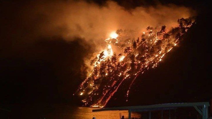 Площадь пожара в бухте Инал увеличилась до 6 тысяч кв. м.
