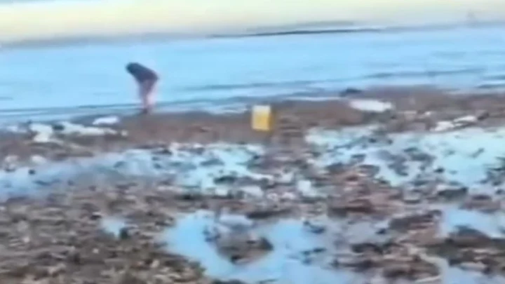 Сотни «рыб‑пенисов» вынесло на берег в Аргентине: опубликовано видео