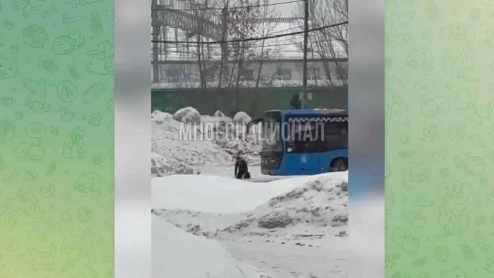 В Москве водитель автобуса перекрыл дорогу ради намаза и бросил пассажиров