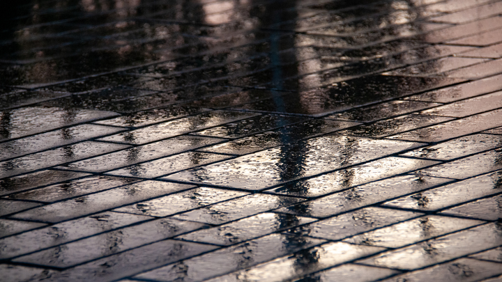 Ненастная погода пришла на Кубань: за ночь в регионе выпало от 13 до 37 мм осадков