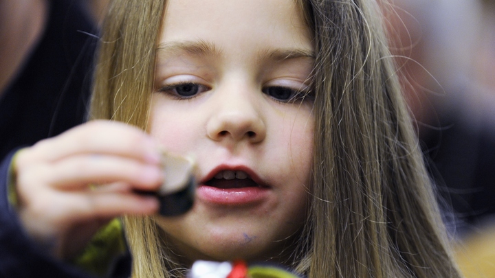 Огромное и скукоженное: Российским детям готовят странный новогодний подарок