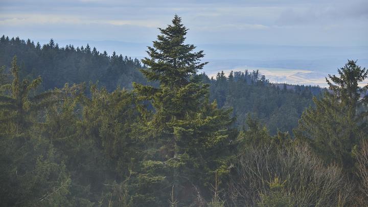 Передумал: Объявившийся в Норвегии боец Вагнера просит вернуть его обратно в Россию