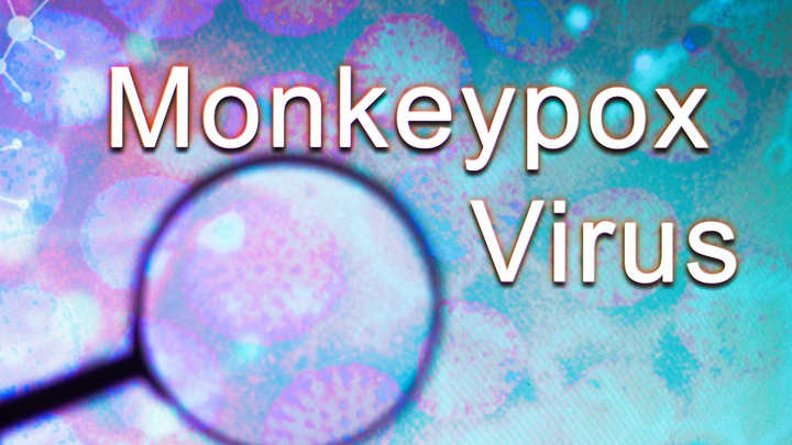 Что делать в случае обезьяньей оспы: Минздрав России подготовил рекомендации