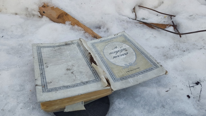 Пароходы, паровоз и взрывы в пятиэтажках: самые крупные трагедии в истории Новосибирска
