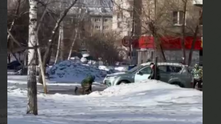 В Новосибирске неизвестный водитель ударил сотрудницу Горзеленхоза из-за замечания