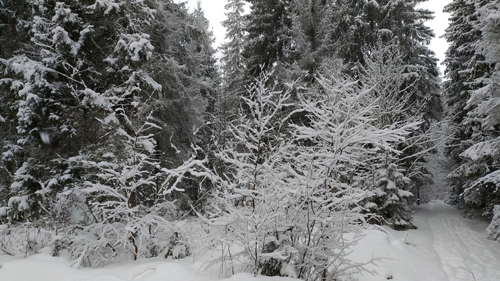 Ковровский поэт Сергей Литвинов умер в 66 лет