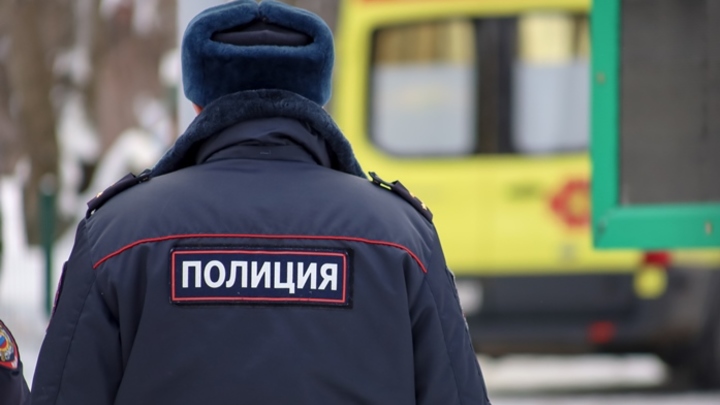 Полиция Кузбасса разыскивает обокравших пенсионерку девушек