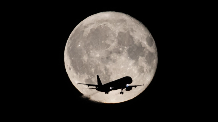 Я не буду худеть, чтобы летать!: Бунт в небе. Бодипозитивные пассажирки потребовали увеличить самолёты