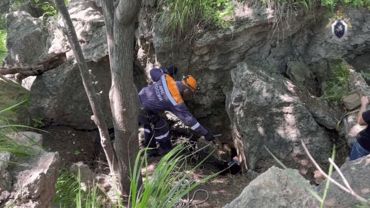 СК: останки двух пропавших жителей нашли в лесу в Приморье