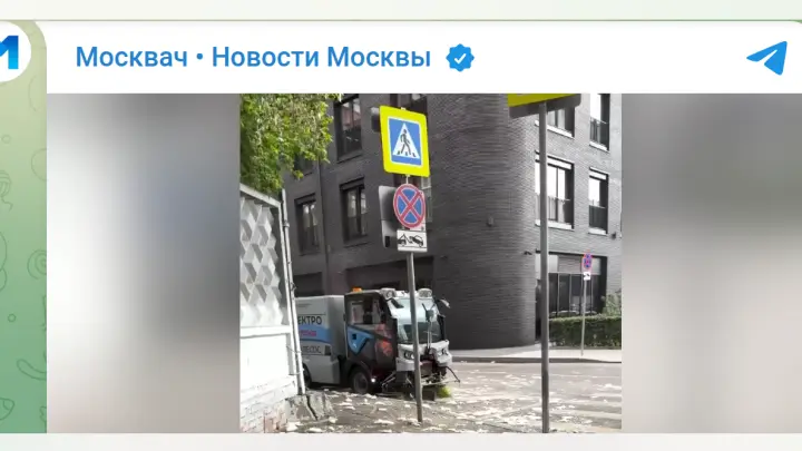 На улицы Москвы выехали реальные пухососы после фейка в сети