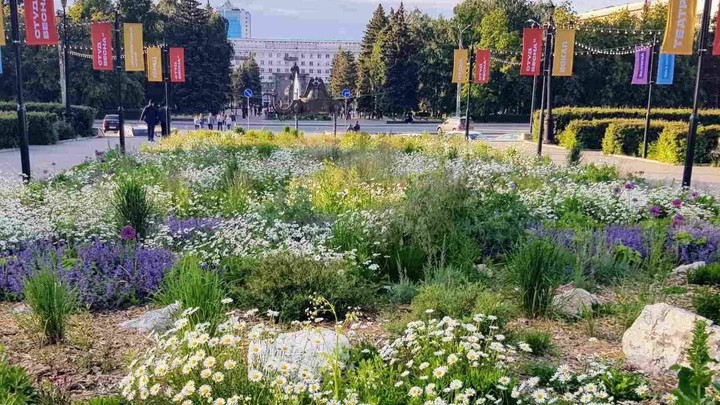 Чиновники посадили за деньги на клумбах у драмтеатра бурьян и болотную траву