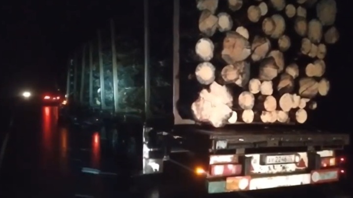 Бревно упало с лесовоза и убило водителя встречного грузовика на трассе под Тюменью