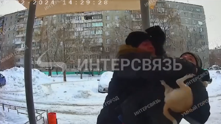Люди вступились за прохожего, который избил владельца собаки: Они уже всех достали