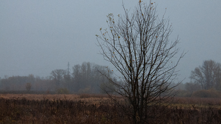 Би-би-си: туман стал союзником России в боях за Красноармейск