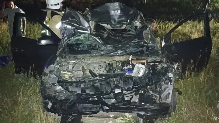 В Челябинской области два автомобиля врезались ночью в табун лошадей