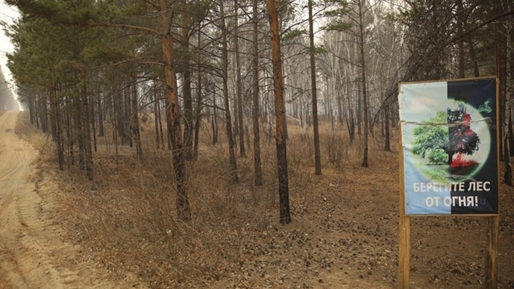 Забайкалец заплатит 27 тысяч за тушение лесного пожара, случившегося по его вине