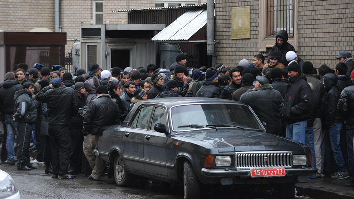 Беду с мигрантами решат четыре простых условия. Ввести нужно немедленно